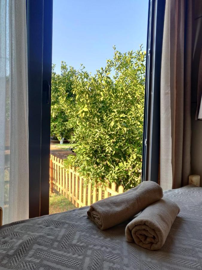 Gaia Tiny Houses Butik Hotel 博德鲁姆 外观 照片