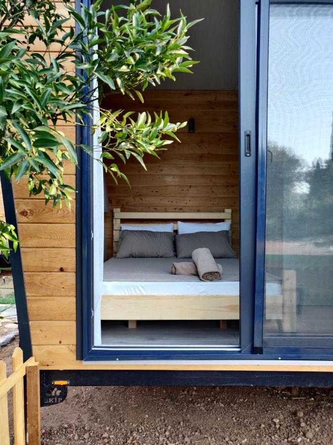 Gaia Tiny Houses Butik Hotel 博德鲁姆 外观 照片
