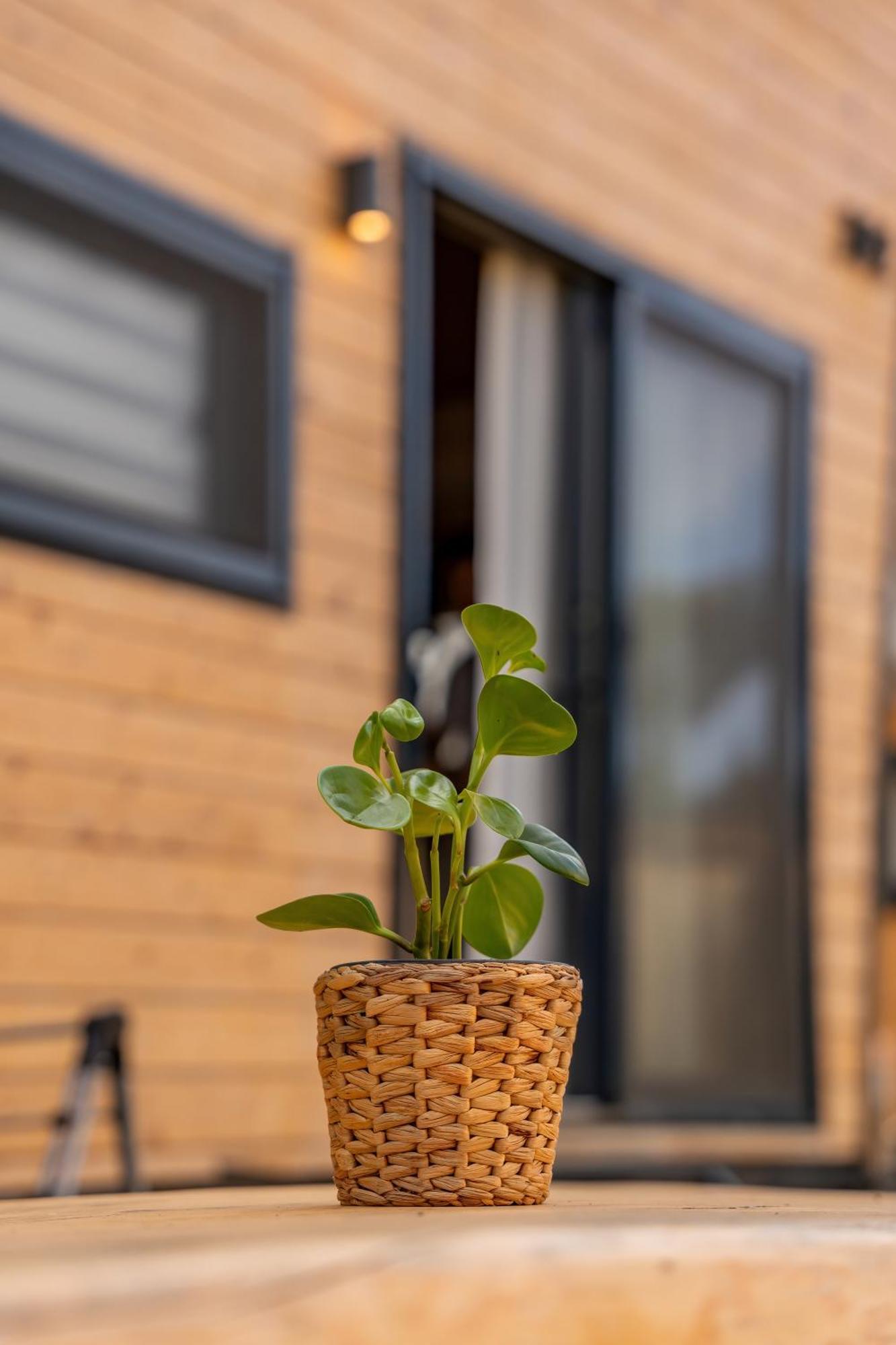 Gaia Tiny Houses Butik Hotel 博德鲁姆 外观 照片