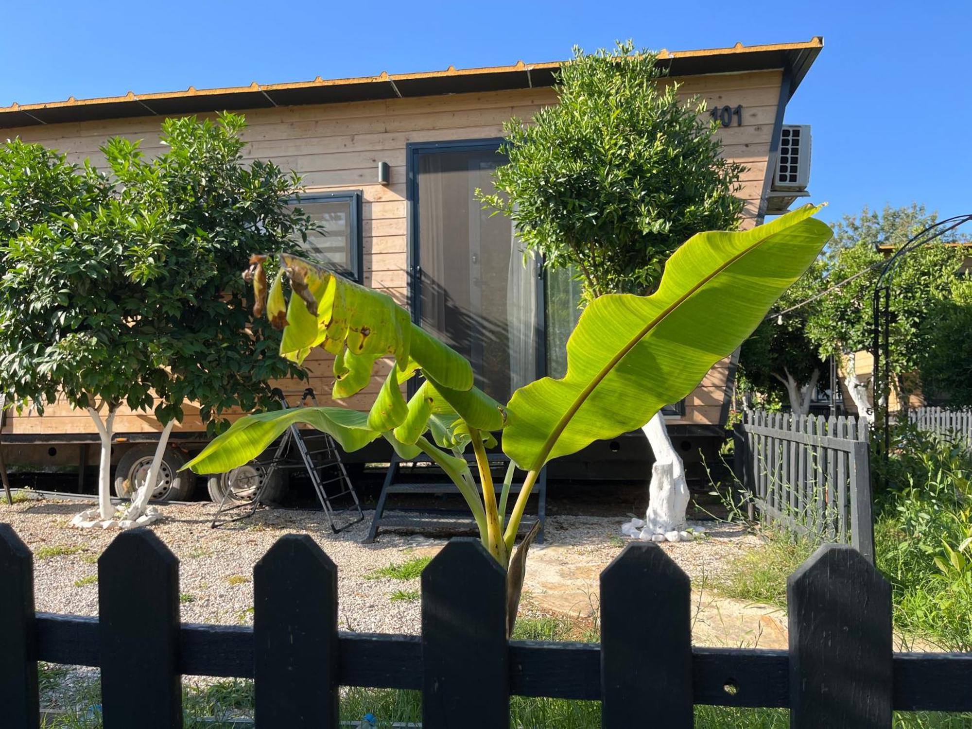 Gaia Tiny Houses Butik Hotel 博德鲁姆 外观 照片