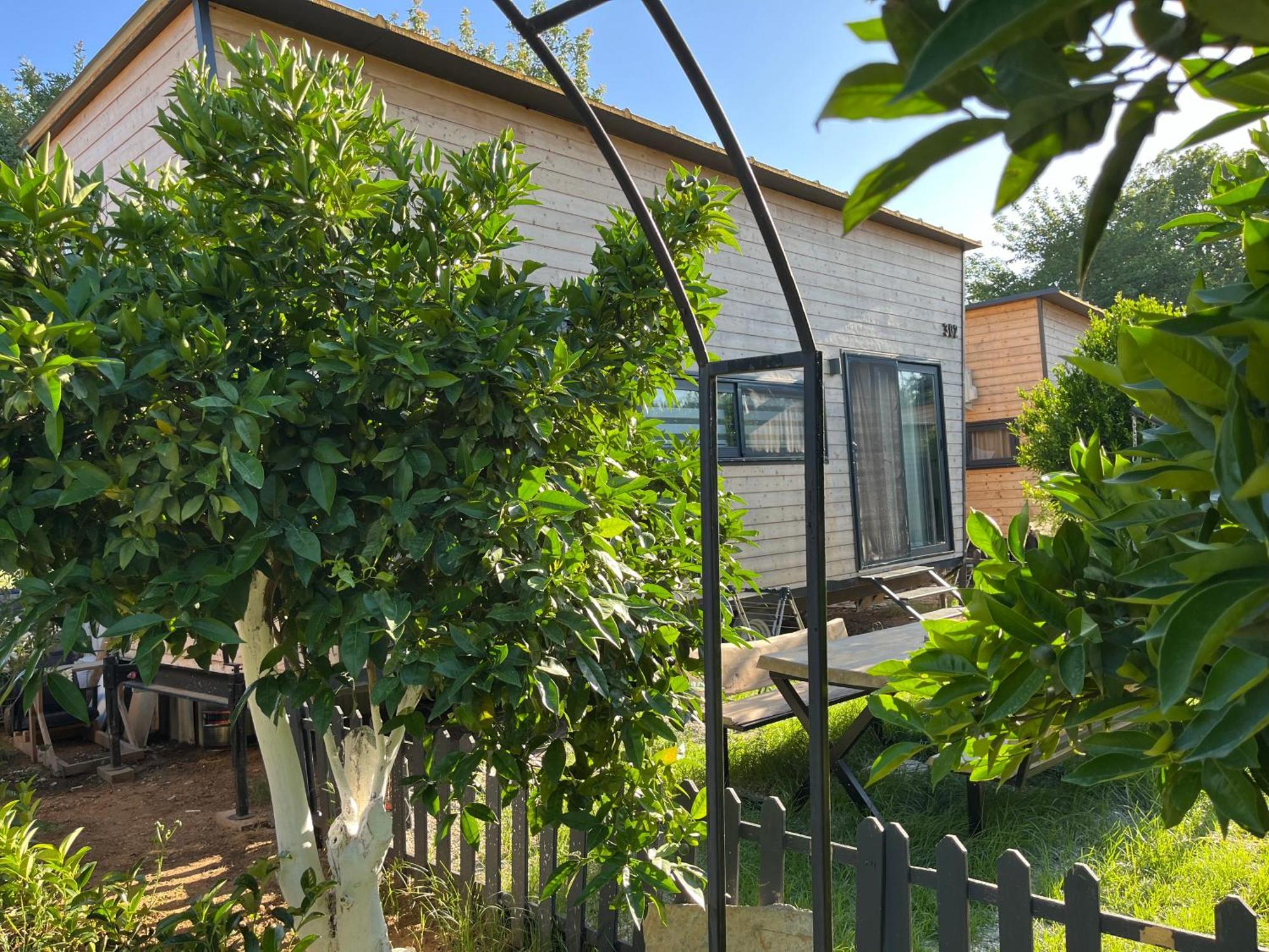 Gaia Tiny Houses Butik Hotel 博德鲁姆 外观 照片