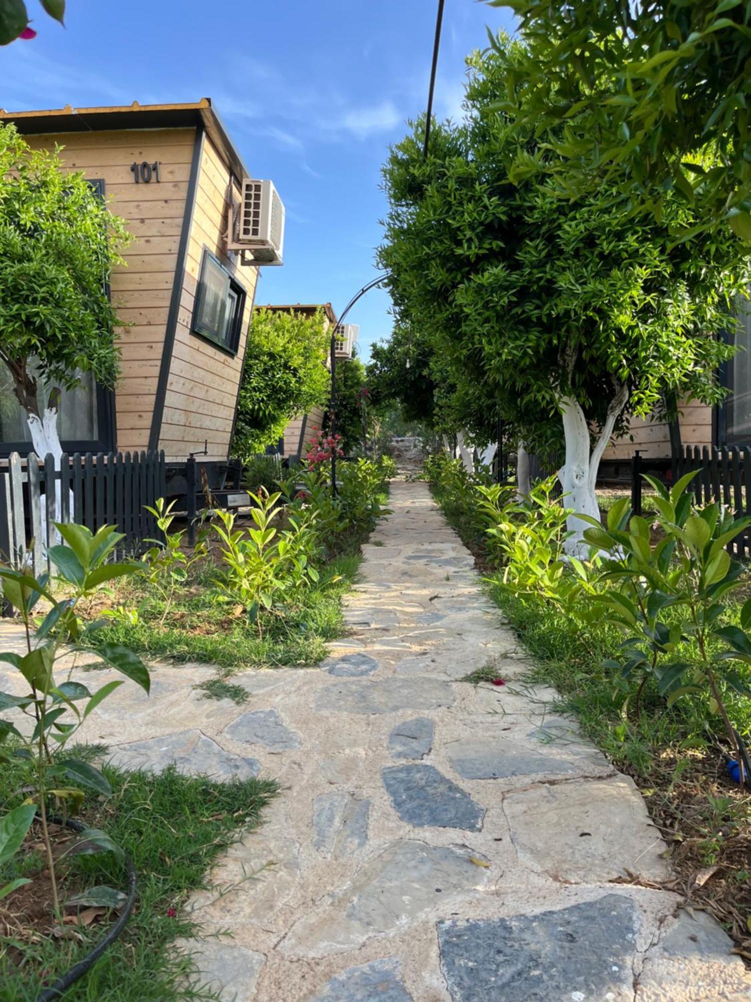 Gaia Tiny Houses Butik Hotel 博德鲁姆 外观 照片